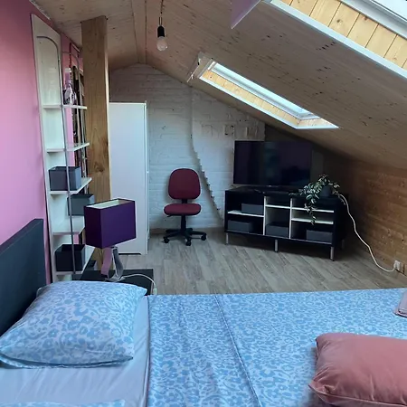 게스트하우스 Gaby's House