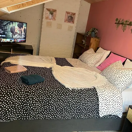 Gaby's House * Liegi